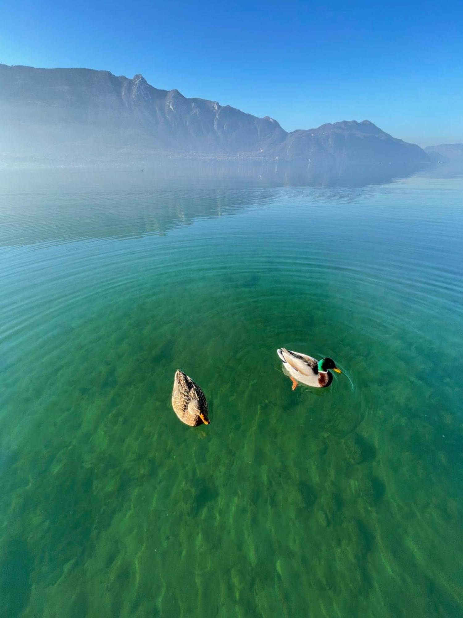 “L'Escapade”, Entre Lac Et Montagne Saint-Alban  外观 照片